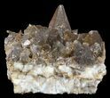 Dogtooth Calcite Crystal Cluster - Morocco #57377-1